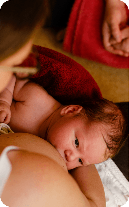 Stillberatung babygeleitete beikost